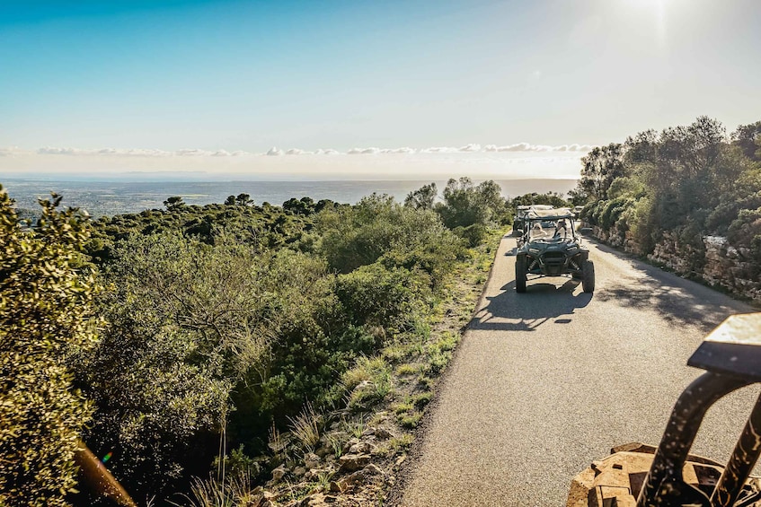 Picture 10 for Activity Palma de Mallorca: Off/On Road Buggy Tour with 2 or 4 Seater