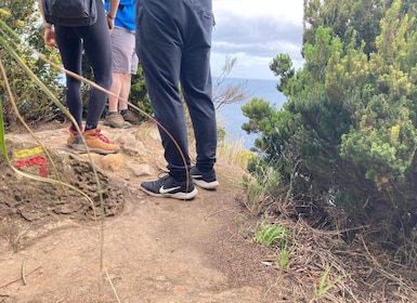 Terceira: Wandertour auf den Inselpfaden mit Transfer