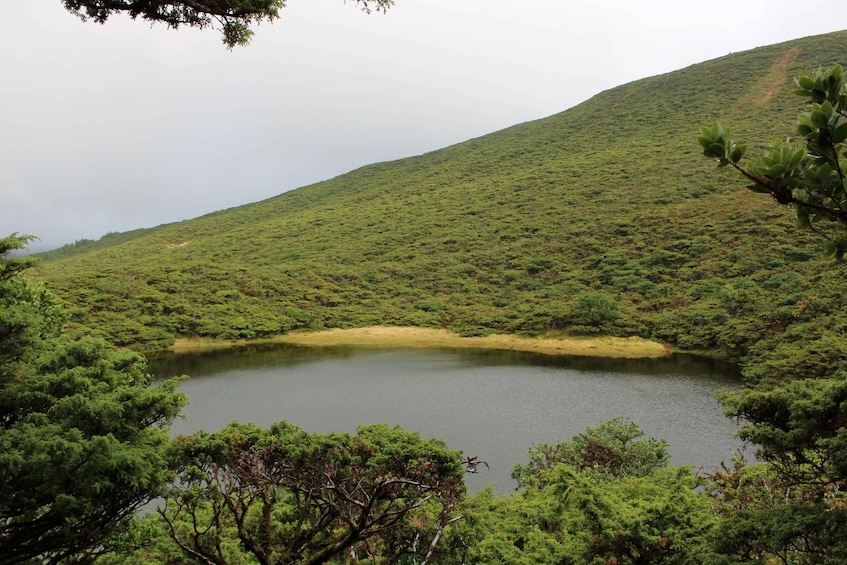 Picture 12 for Activity Terceira: Island Trails Scenic Hiking Tour with Transfer