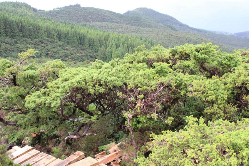 Picture 11 for Activity Terceira: Island Trails Scenic Hiking Tour with Transfer