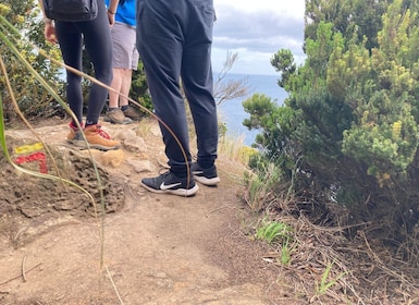 Terceira: Excursión panorámica de senderismo por los senderos de la isla co...