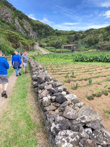 Picture 6 for Activity Terceira: Island Trails Scenic Hiking Tour with Transfer