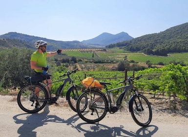 Corinth & Nemea: ทัวร์ E-Bike พร้อมไกด์พร้อมชิมไวน์