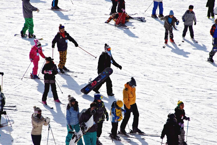 Picture 5 for Activity From Busan: Eden Valley Resort Ski and Winter Fun Tour