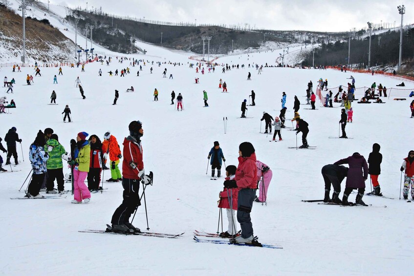 Picture 3 for Activity From Busan: Eden Valley Resort Ski and Winter Fun Tour