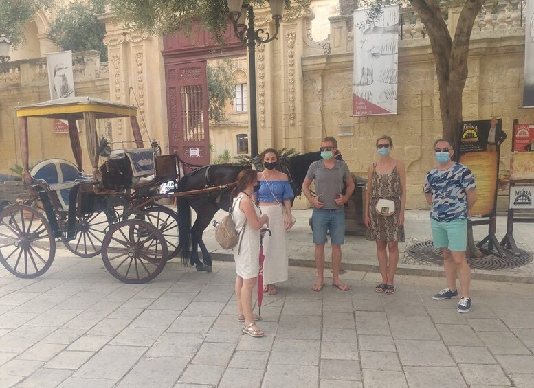 Picture 1 for Activity Mdina and Rabat Private Walking Tour with local pastizzi