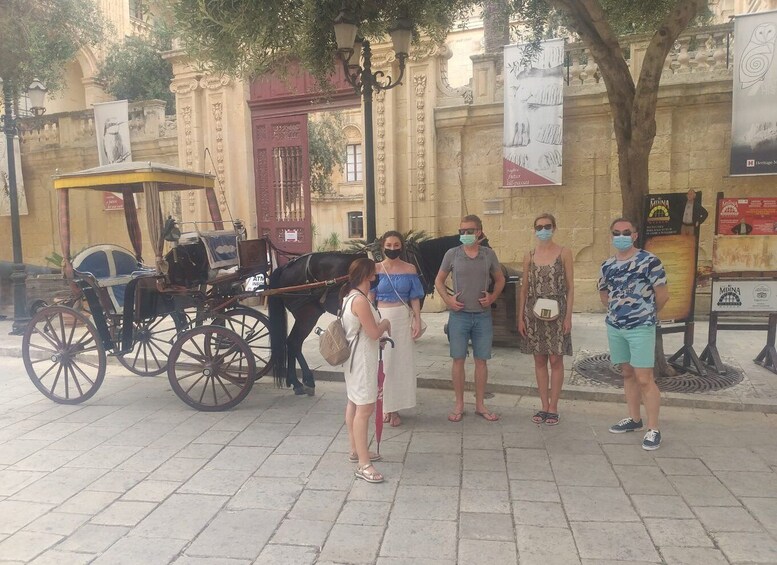 Picture 1 for Activity Mdina and Rabat Private Walking Tour with local pastizzi