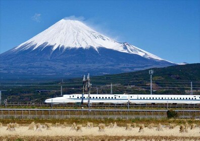 Depuis Tokyo : Excursion au Mont Fuji et à Hakone avec retour en train Bull...