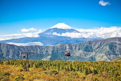 Från Tokyo: Mt. Fuji & Hakone Tour w / Return med Bullet Train