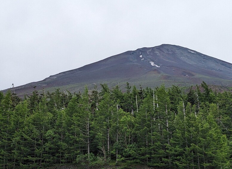 Picture 8 for Activity From Tokyo: Mt. Fuji & Hakone Tour w/ Return by Bullet Train