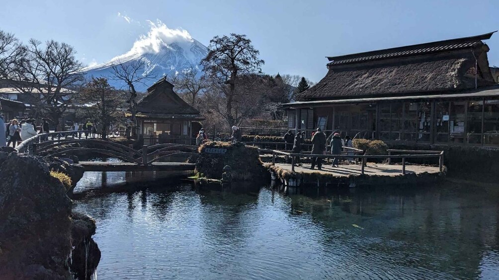 Picture 1 for Activity From Tokyo: Mt. Fuji & Hakone Tour w/ Return by Bullet Train