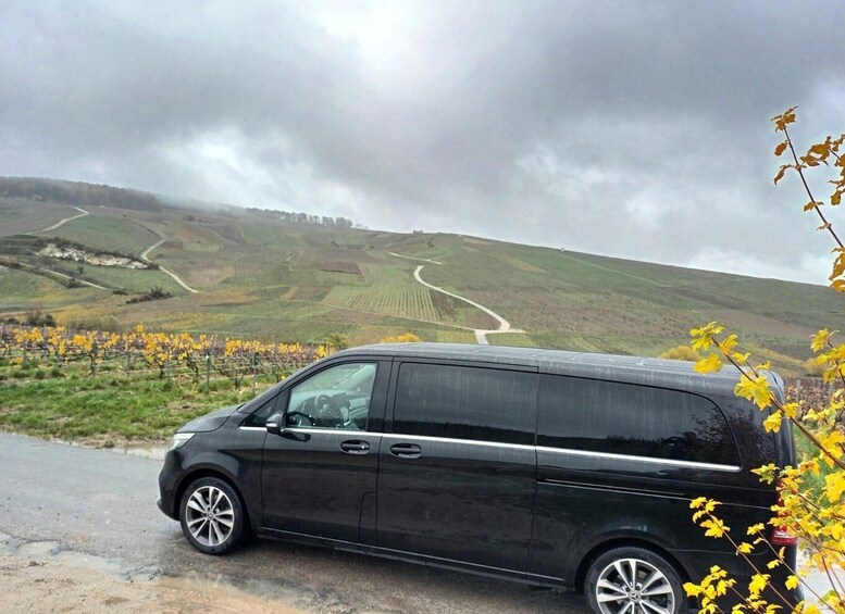 Picture 7 for Activity From Reims: Transfer and Drive Through the Champagne Region