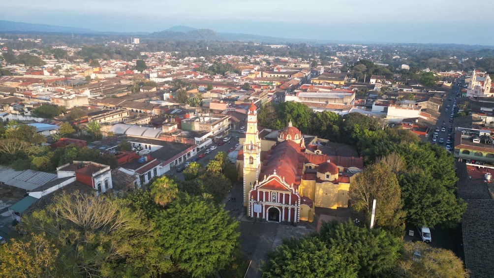 Picture 7 for Activity From Veracruz or Boca del río: Coffee Tour in Coatepec