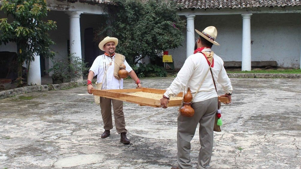 Picture 6 for Activity From Veracruz or Boca del río: Coffee Tour in Coatepec