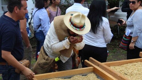 Depuis Veracruz ou Boca del río : visite du café à Coatepec