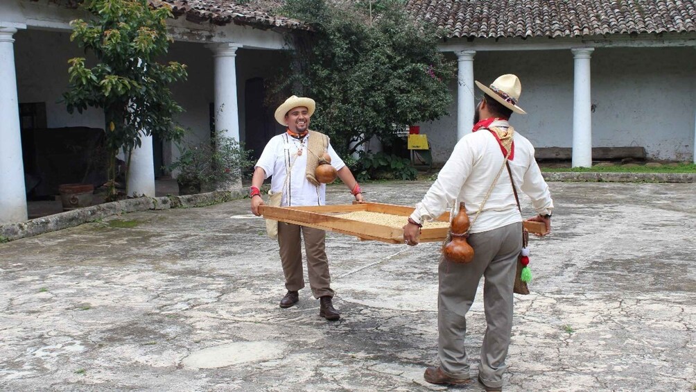 Picture 6 for Activity From Veracruz or Boca del río: Coffee Tour in Coatepec