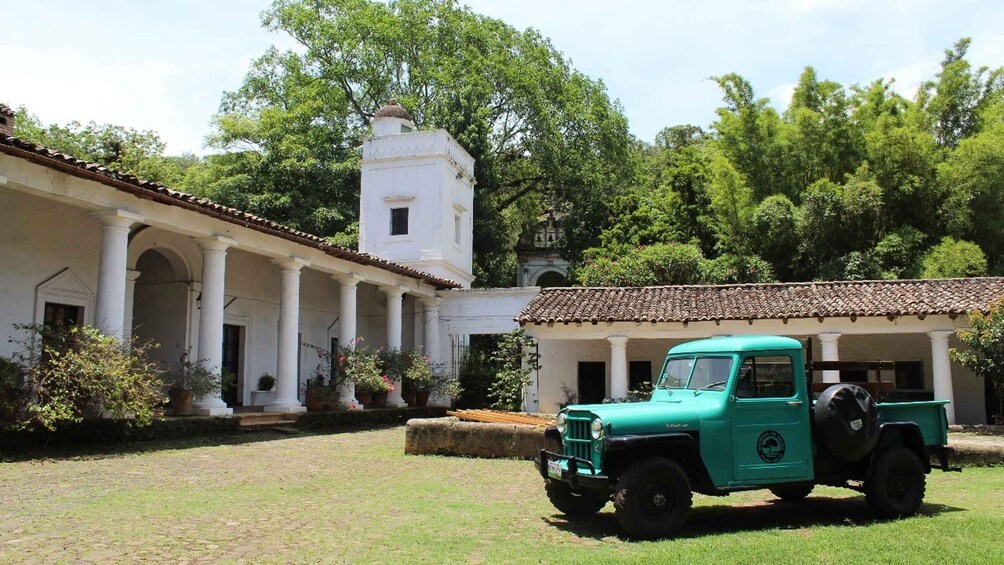 Picture 5 for Activity From Veracruz or Boca del río: Coffee Tour in Coatepec