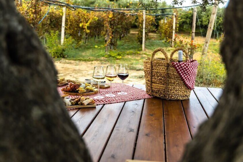 Lyrarakis Winery Official Shuttle – Wine Tasting Included