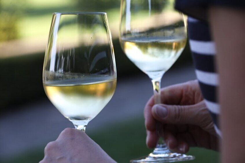 Private Winery Tour with Tastings at Douloufakis Winery (Transfer Included)