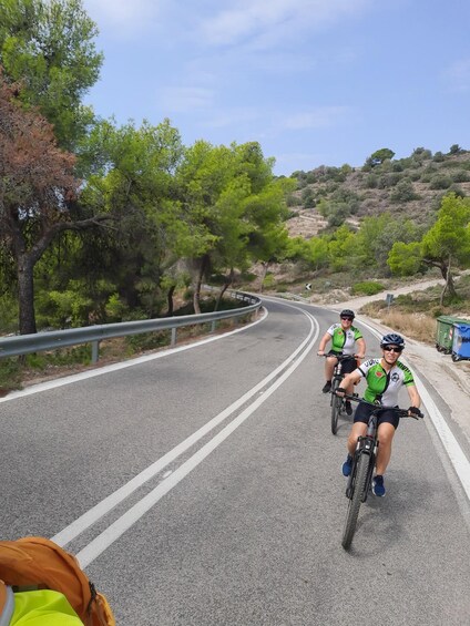 Picture 6 for Activity From Athens: Aegina Island E-Bike Tour with Ferry Tickets