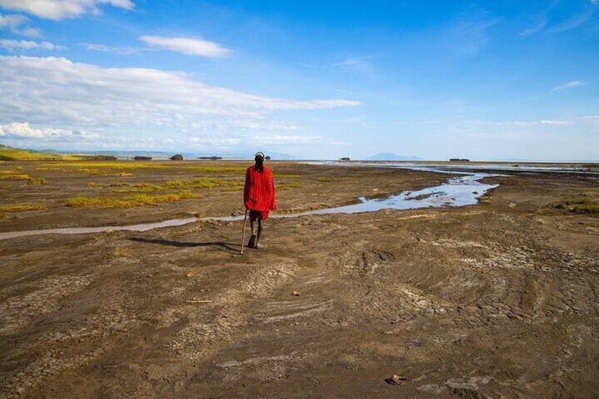 Surroundings Africa Safari Lake Manyara