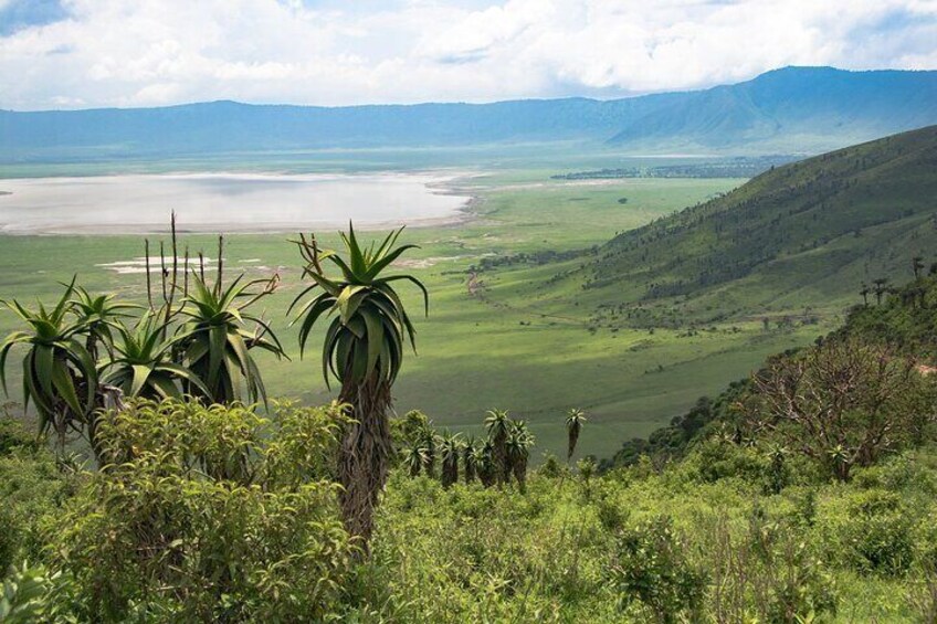 Ngorongoro Crater