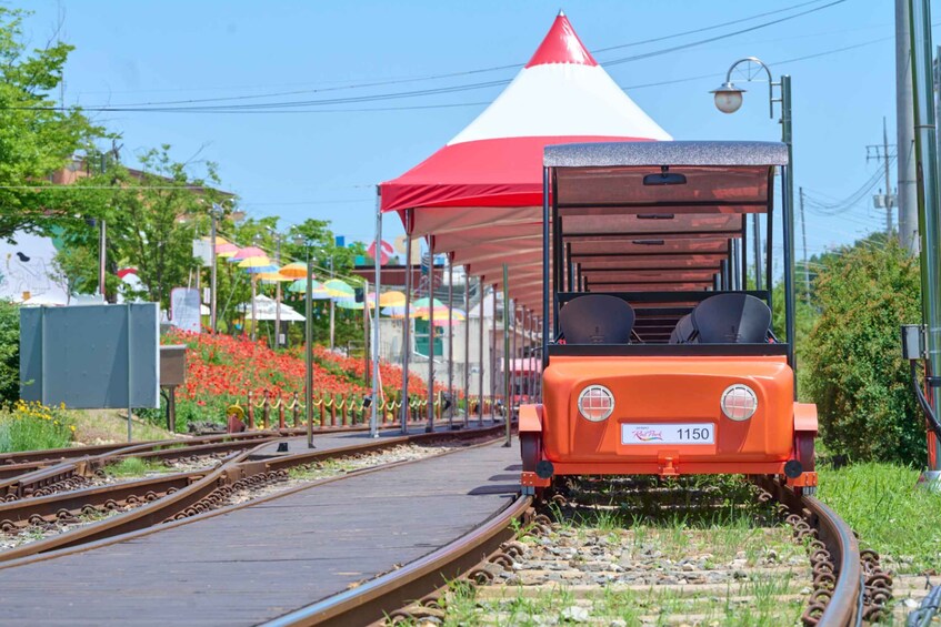 Picture 12 for Activity Seoul: Strawberry & Nami Island & Korean Garden (+ Railbike)