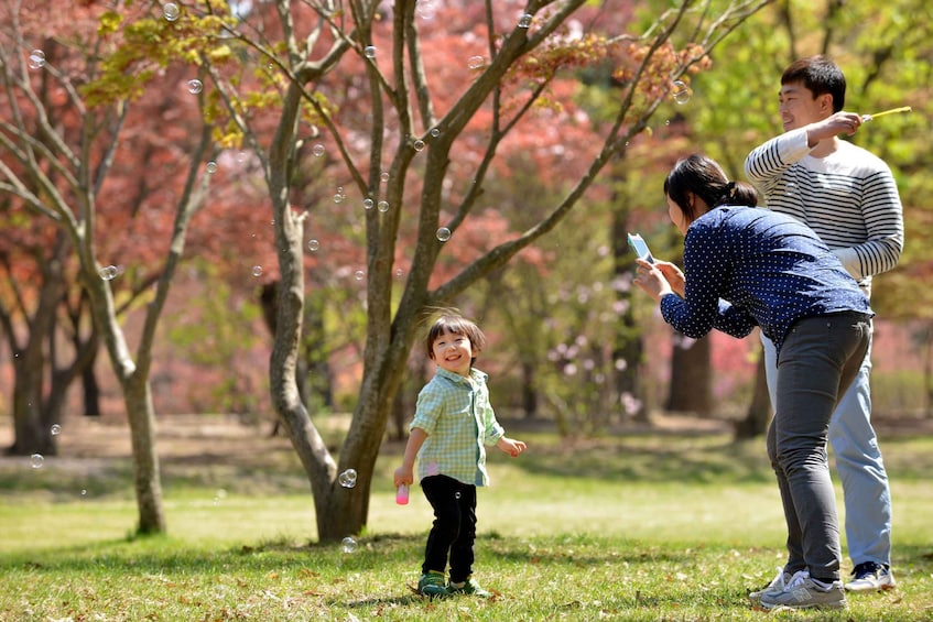 Picture 18 for Activity Seoul: Strawberry & Nami Island & Korean Garden (+ Railbike)