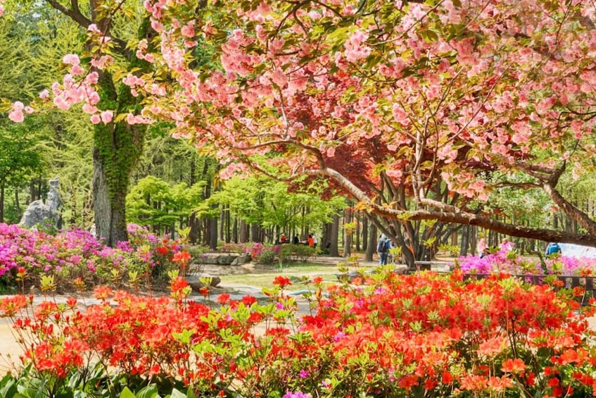 Picture 13 for Activity Seoul: Strawberry & Nami Island & Korean Garden (+ Railbike)