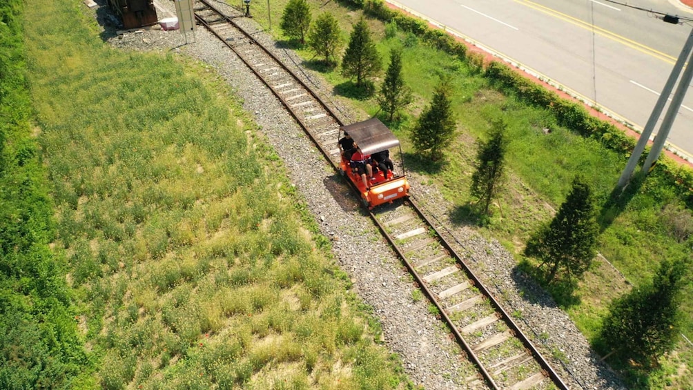 Picture 13 for Activity Seoul: Strawberry & Nami Island & Korean Garden (+ Railbike)