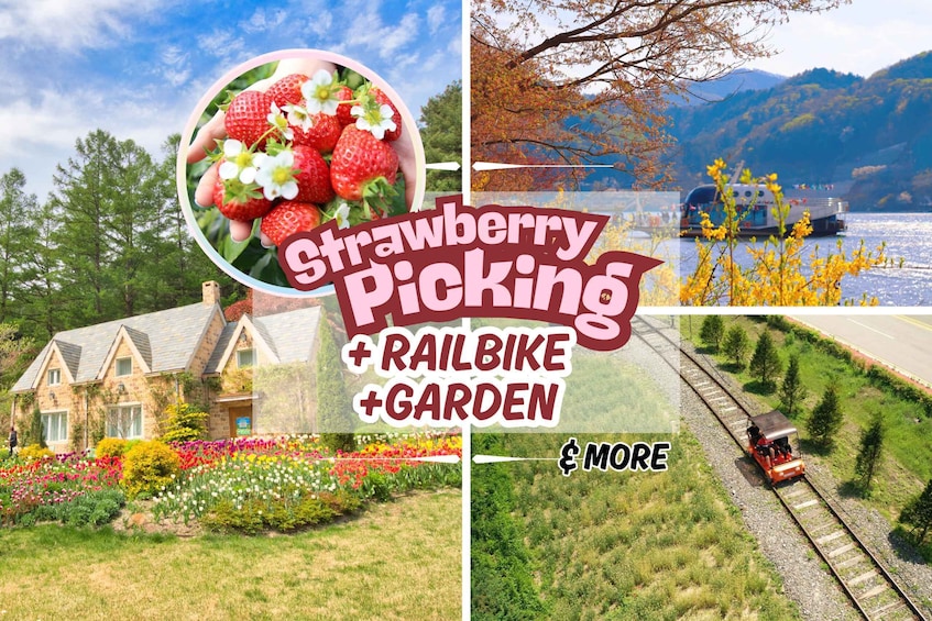 Seoul: Strawberry & Nami Island & Korean Garden (+ Railbike)