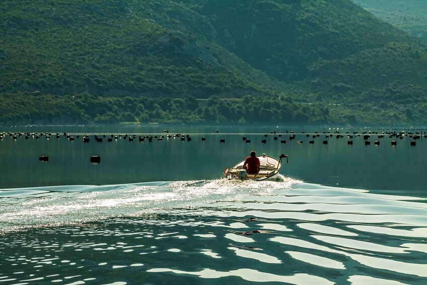 Picture 3 for Activity Ston Oyster Tasting Private Tour From Dubrovnik