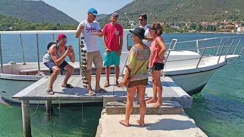 Privat rundtur med ostronprovning i Ston från Dubrovnik