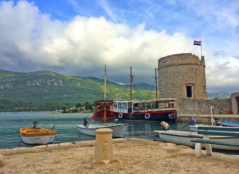 Picture 5 for Activity Ston Oyster Tasting Private Tour From Dubrovnik