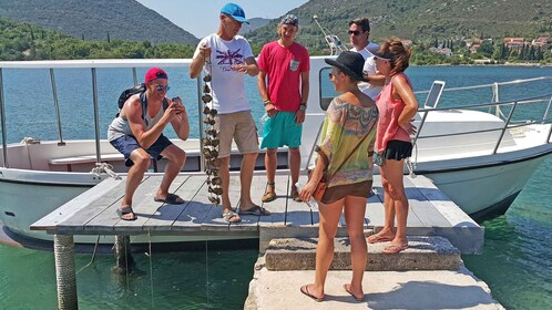 Excursión Privada de Degustación de Ostras de Ston desde Dubrovnik