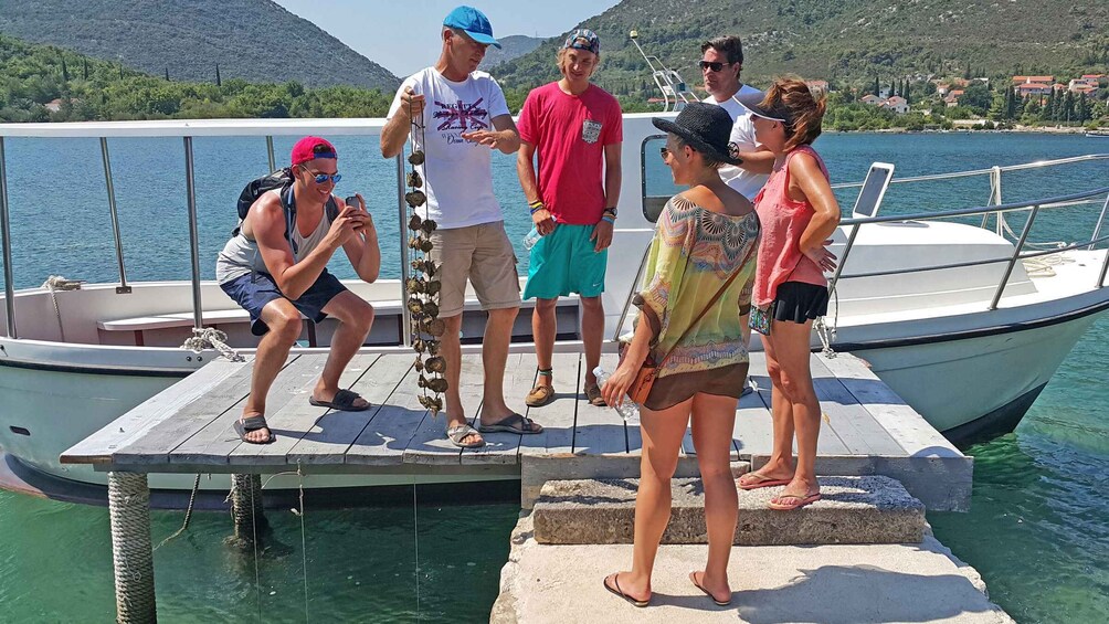 Ston Oyster Tasting Private Tour From Dubrovnik