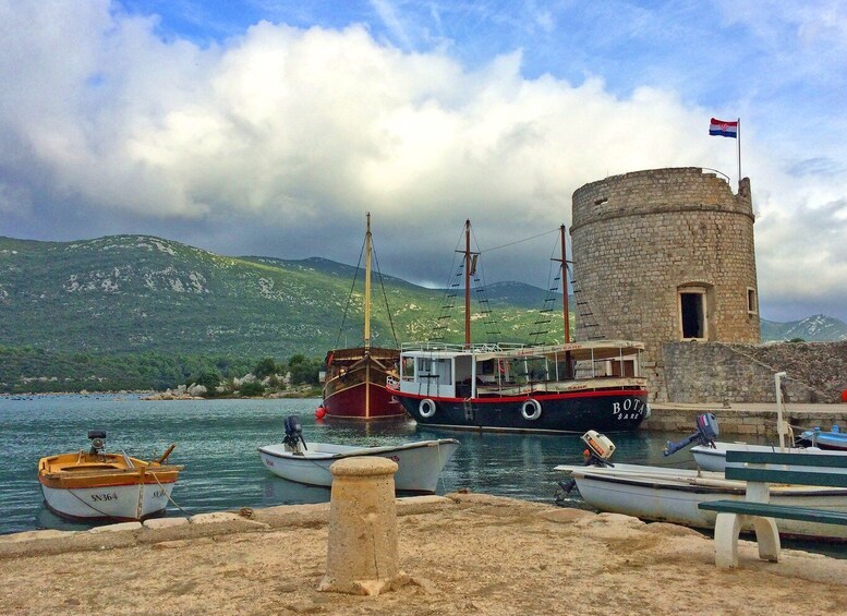 Picture 5 for Activity Ston Oyster Tasting Private Tour From Dubrovnik