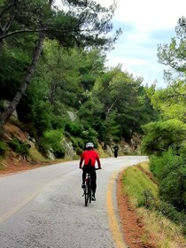 Athene: Elektrische fietstocht naar de berg Hymettus