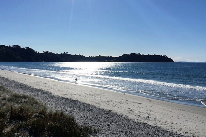 Explore Waiheke Island on a Personal Tour with Terra & Tide