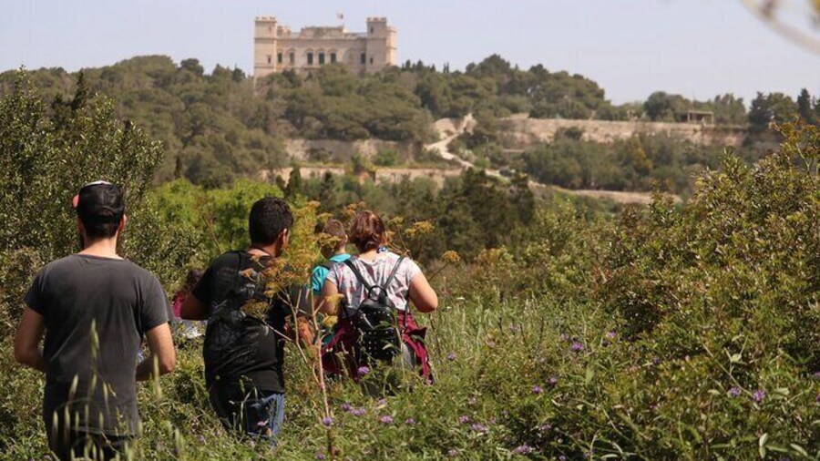 Buskett Woodlands and Dingli Cliffs Nature Walking Private Tour
