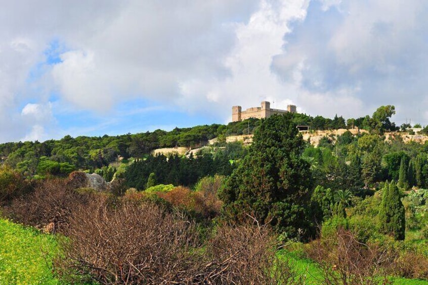 Buskett Woodlands and Dingli Cliffs Nature Walking Private Tour