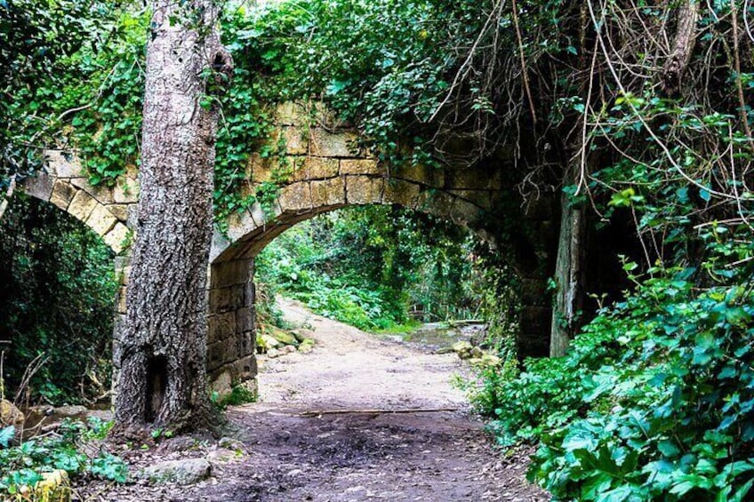 Buskett Woodlands and Dingli Cliffs Nature Walking Private Tour