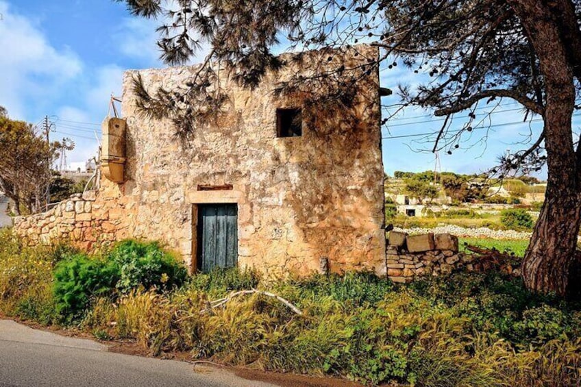 Buskett Woodlands and Dingli Cliffs Nature Walking Private Tour