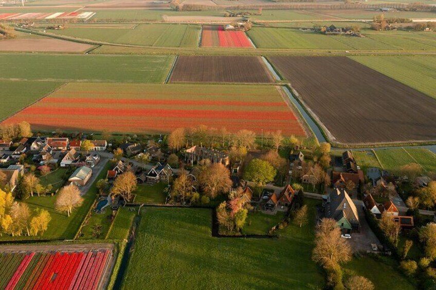 The Dutch countryside is filled with the hidden and non touristy tulip fields.
