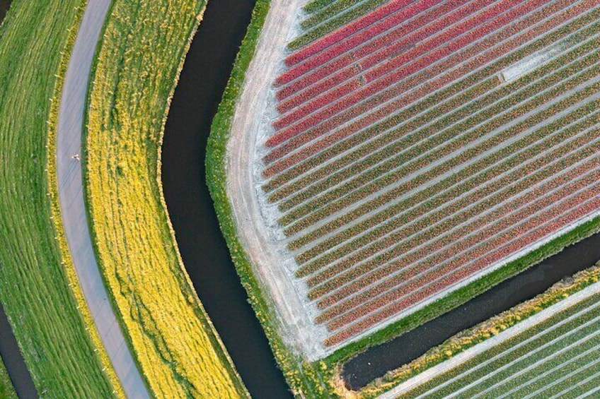 Do you want to visit the Dutch countryside and see tulip and flower fields without tourists nearby Amsterdam? Then this tulip fields guided bike tour is for you.
