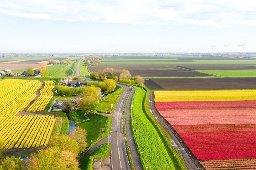 Reclaimed land, historic dikes, colourful tulip fields and no tourists: it doesn't get more Dutch and local than this.