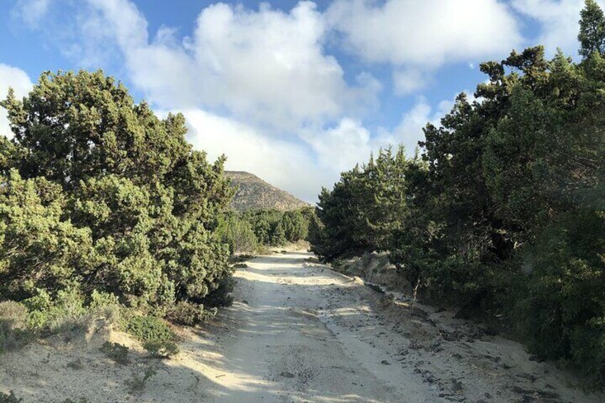 Off the Beaten Track Tour in Kefalos