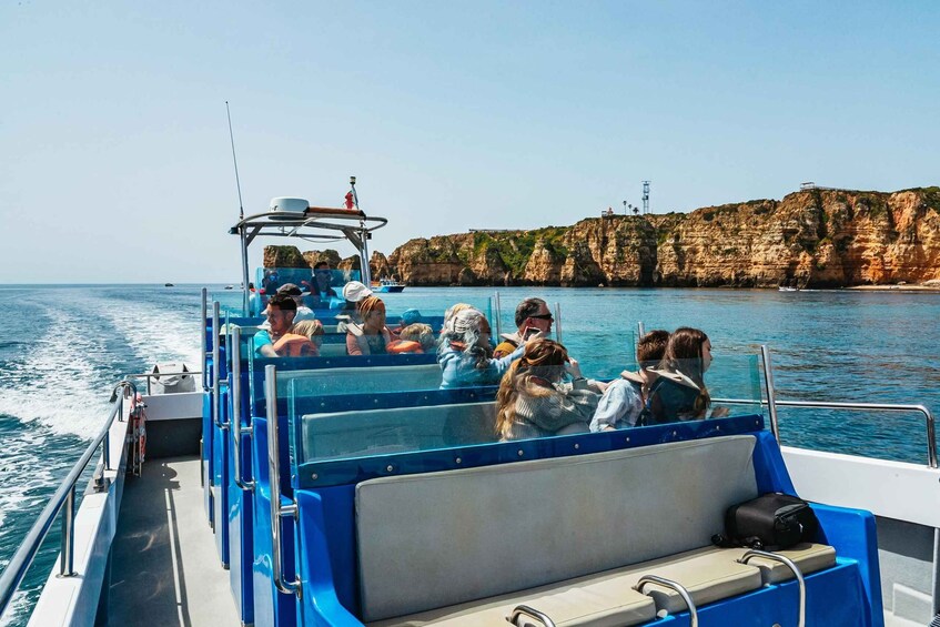 Picture 9 for Activity Lagos: Dolphin Watching Boat Tour with Marine Biologists