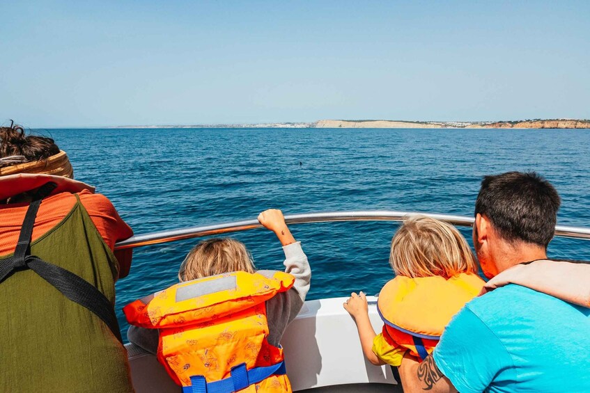 Picture 1 for Activity Lagos: Dolphin Watching Boat Tour with Marine Biologists