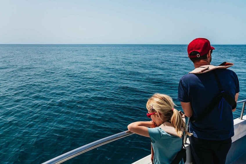 Picture 11 for Activity Lagos: Dolphin Watching Boat Tour with Marine Biologists